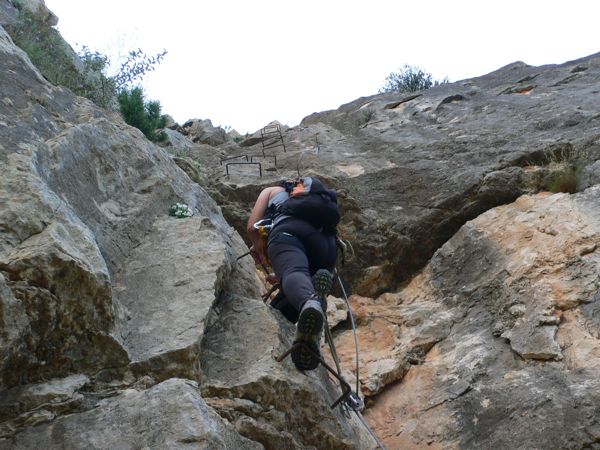 Roca Figueral
