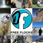 Logo de Free Flocks